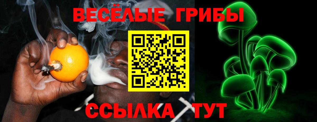Псилоцибиновые грибы мухоморы  Галлюциногенные грибы Psilocybe  Морозовск  Вход с VPN 